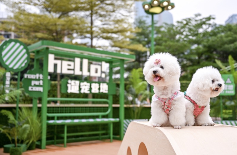 宠物友好型社区管理新标准